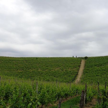 Gran Collina Villa San Damiano d'Asti ภายนอก รูปภาพ