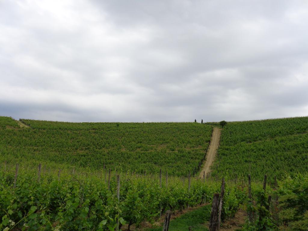 Gran Collina Villa San Damiano d'Asti ภายนอก รูปภาพ