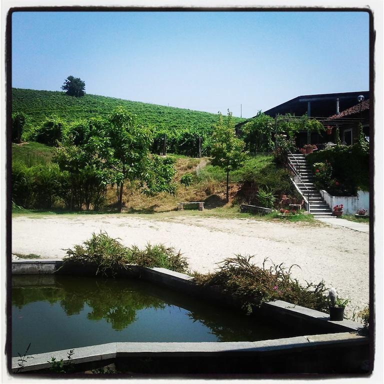 Gran Collina Villa San Damiano d'Asti ภายนอก รูปภาพ
